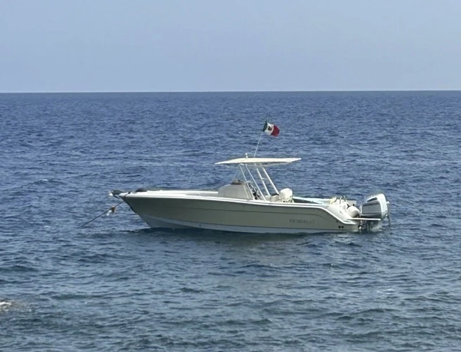 Robalo R30 da affittare a  Napoli