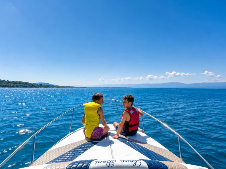 Noleggiare una Bayliner Bayliner 255 a Thonon-les-Bains