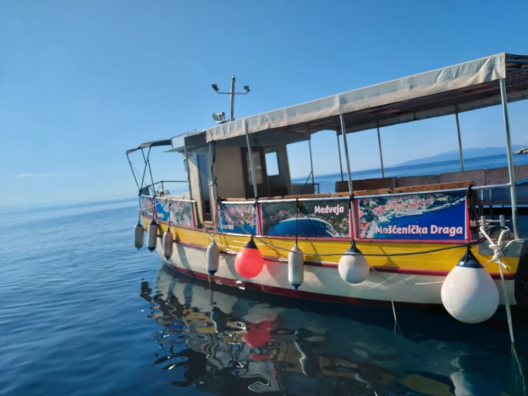 Custom Passanger da affittare a  Opatija