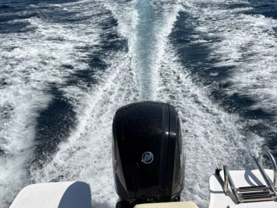 Barca a motore a noleggio a Port de Palamós al miglior prezzo