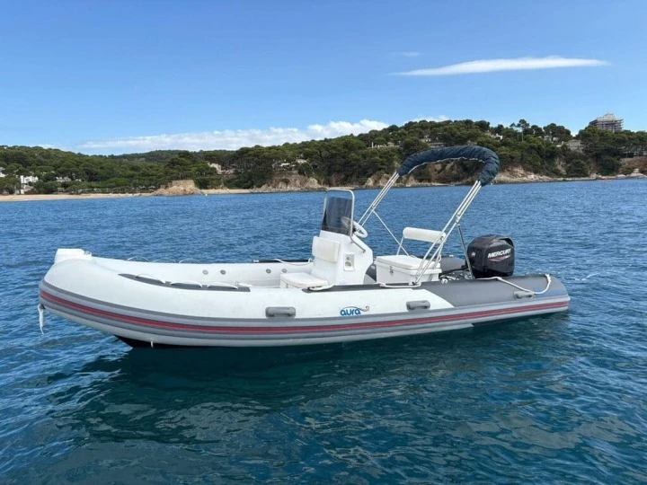 Noleggio barche Silver 495 a Palamós su Samboat