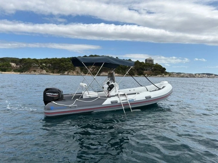 Noleggio barche Silver 495 a Palamós su Samboat