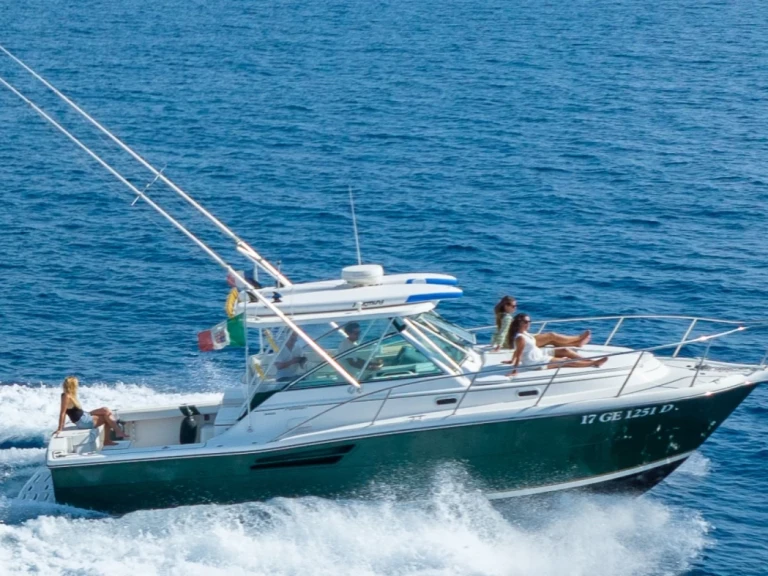 Noleggio Barca a motore con o senza skipper Pursuit a Marsiglia