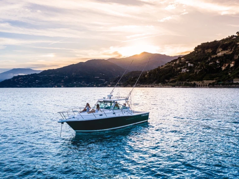 Noleggio a Marsiglia – Pursuit 3400 su SamBoat