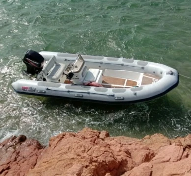 Noleggio barche Vilanova de Arousa economico 450