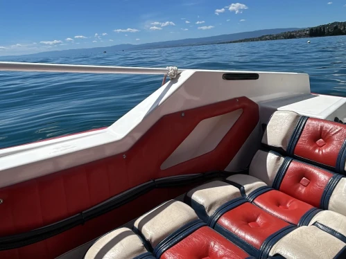 Ocqueteau Boxer 44 da affittare a  Lutry