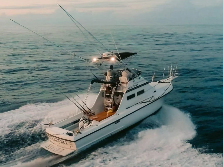 Custom Made custom da affittare a  Cabo San Lucas