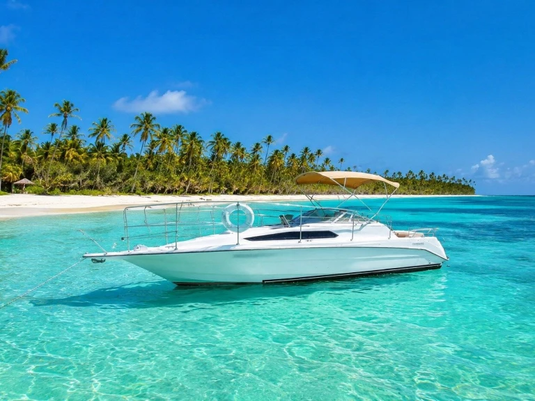 Noleggiare una Custom Made custom a Punta Cana
