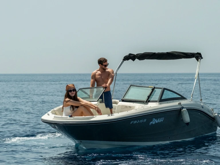 Noleggio barche Sea Ray SPX 190 a La Herradura su Samboat