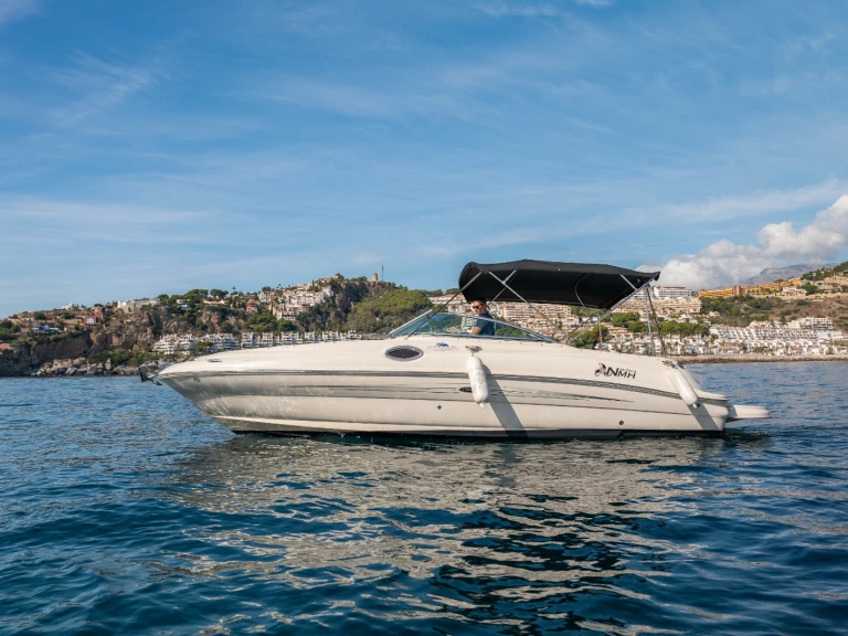 Noleggio Barca a motore con o senza skipper Sea Ray a La Herradura