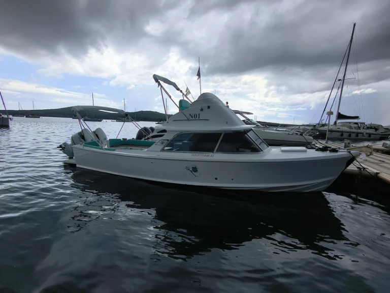 Noleggio Barca a motore a Porto Pozzo – Bertram 31