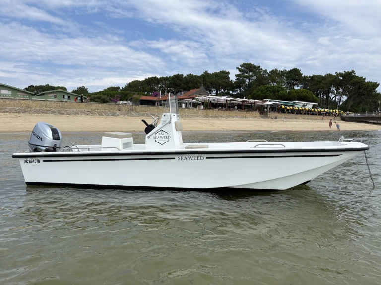 Cn-Cap-Ferret Seaweed da affittare a  Lège-Cap-Ferret