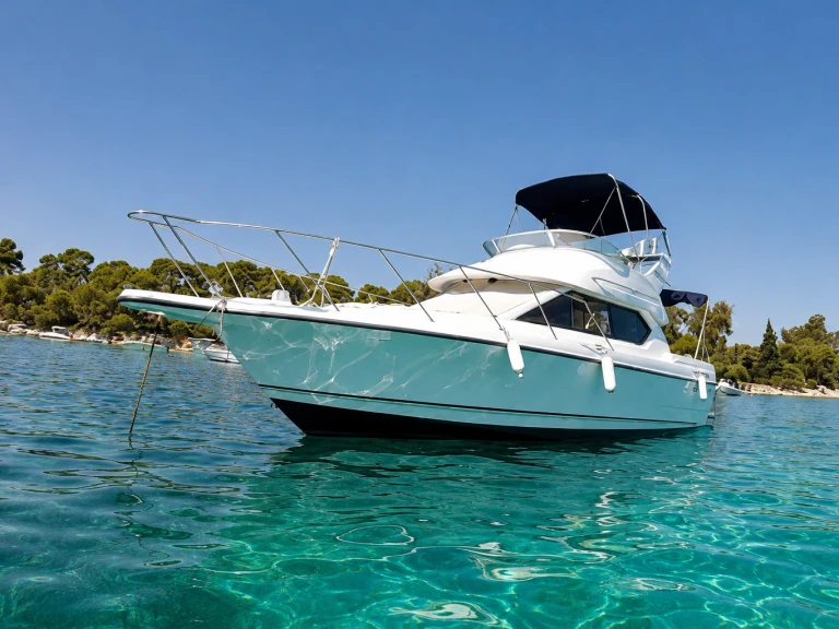 Bayliner Bayliner 2858 Fly da affittare a  Mandelieu-la-Napoule