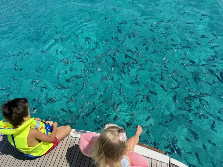 Noleggio Barca a motore con o senza skipper Jeanneau a Mandelieu-la-Napoule