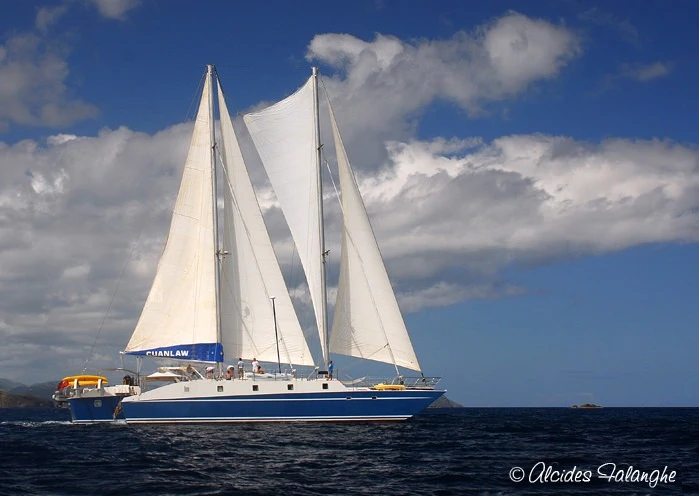 Noleggio barche Muirhead Trimaran CUAN LAW a Road Town su Samboat