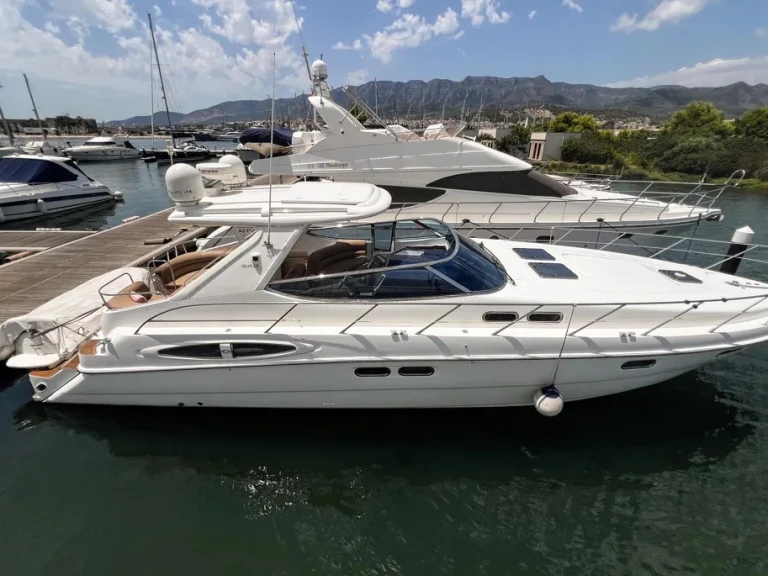 Noleggio Barca a motore con o senza skipper Sealine a Vibo Marina