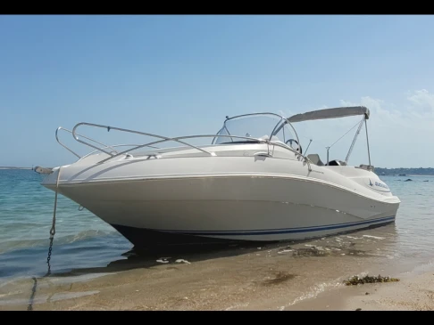 Quicksilver Quicksilver 555 WA Commander da affittare a  Trébeurden