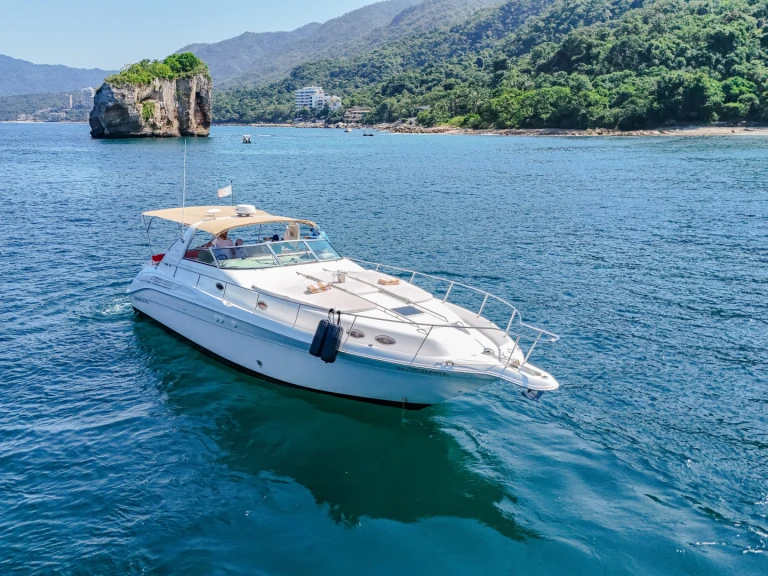 Noleggio Catamarano Custom Made con patente nautica