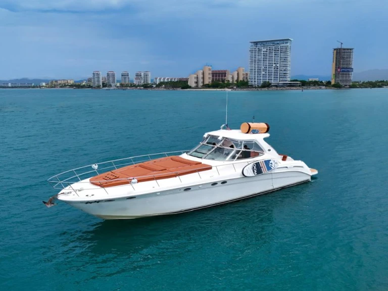Noleggio Barca a motore con o senza skipper Custom Made a Puerto Vallarta