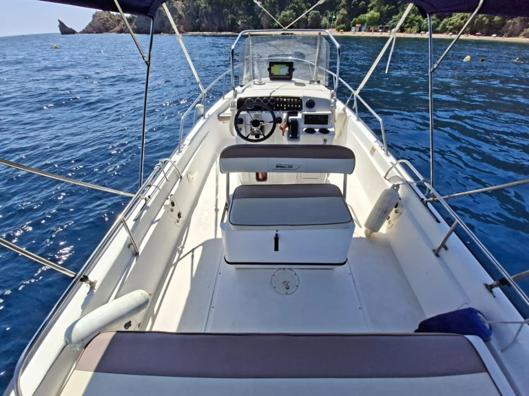 Noleggio barche Boston Whaler Boston Whaler 220 Dauntless a Port de la Rague su Samboat