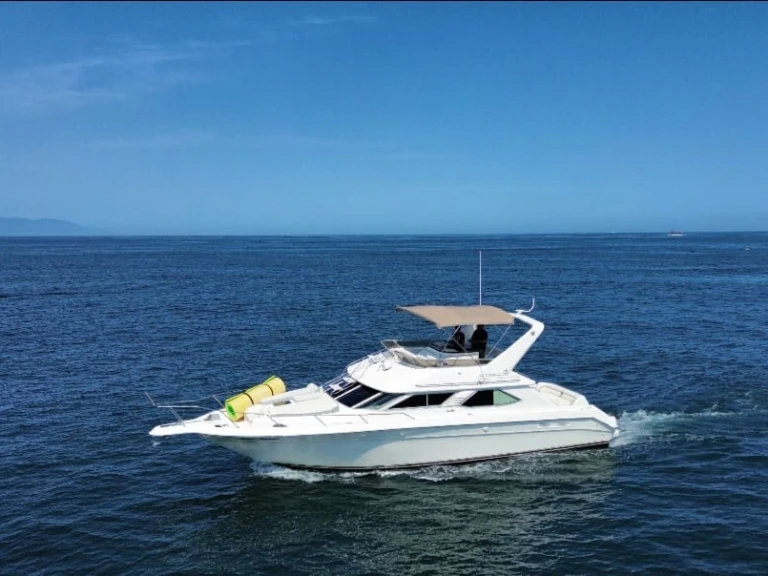 Noleggio barche Custom Made custom a Puerto Vallarta su Samboat