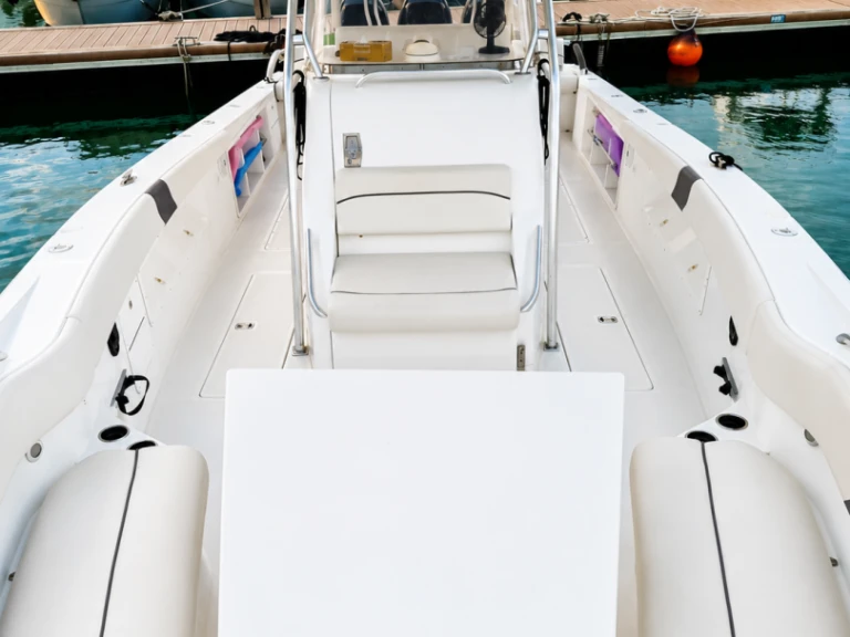 Noleggio barche USA MOTOR a Gammarth su Samboat