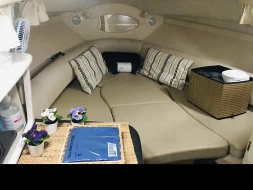 Noleggio barche Marbella economico 242 cruiser