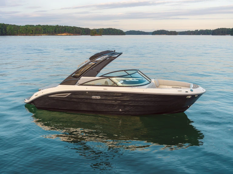 Sea Ray  250 sdx da affittare a  Port d'Arcachon