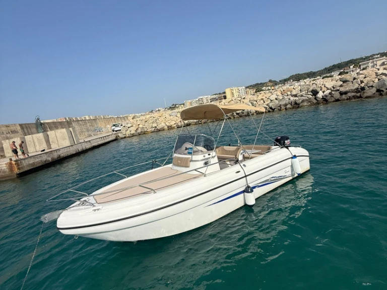 Ranieri Shadow 24 S da affittare a  Italia
