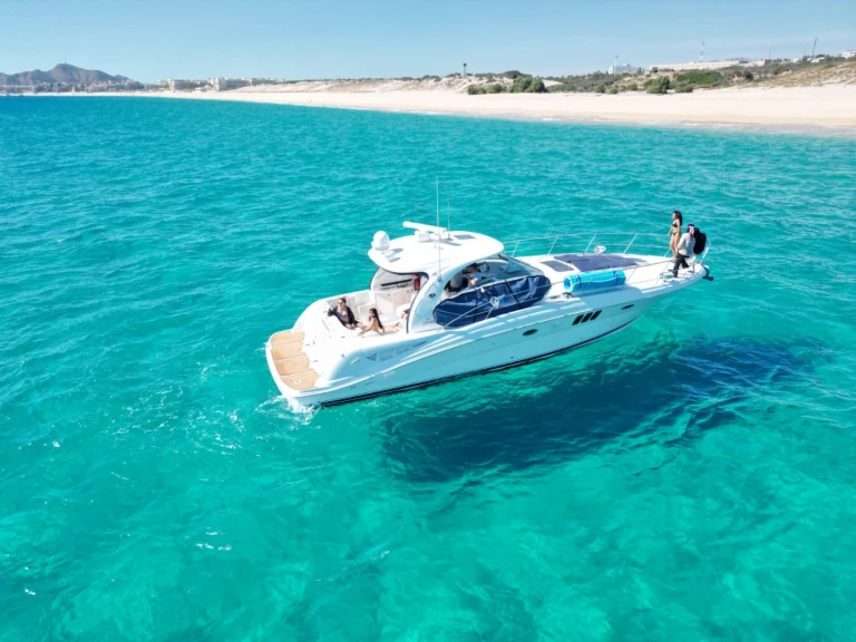 Noleggio a Cabo San Lucas – Sea Ray Sea Ray 455 Sundancer su SamBoat