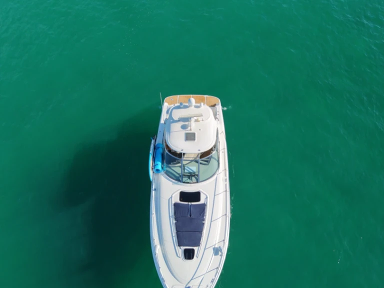 Sea Ray Sea Ray 455 Sundancer da affittare a  Cabo San Lucas