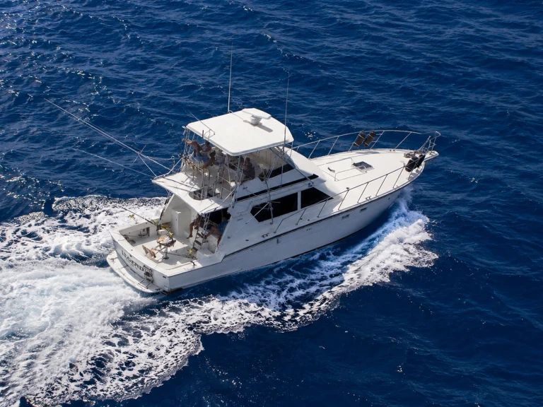 Noleggio barche Custom Made custom a Puerto Rico su Samboat