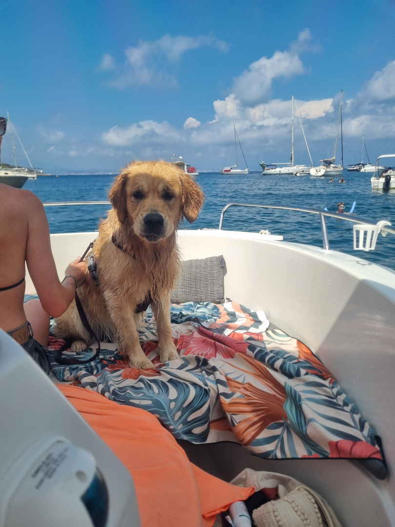 Pacific Craft Pacific Craft 545 Open da affittare a  Saint-Laurent-du-Var