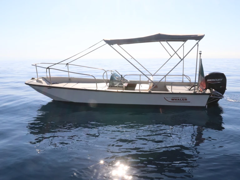 Noleggio barche Boston Whaler Boston Whaler 17 a Riposto su Samboat