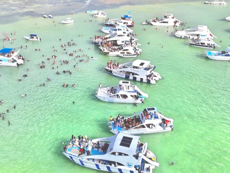 Noleggio a Punta Cana – Ocean Yachts Ocean Star 60.1 su SamBoat