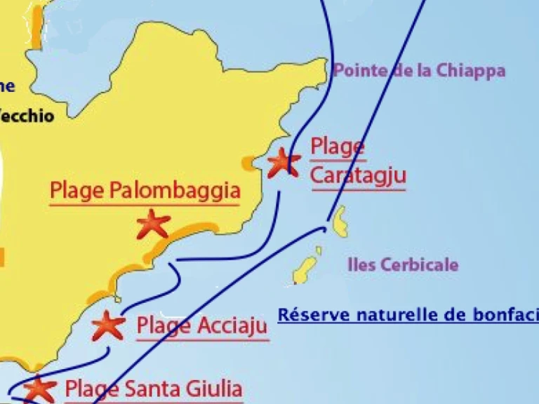 Noleggiare una Motonautica-Vesuviana MV 700 a Porto-Vecchio