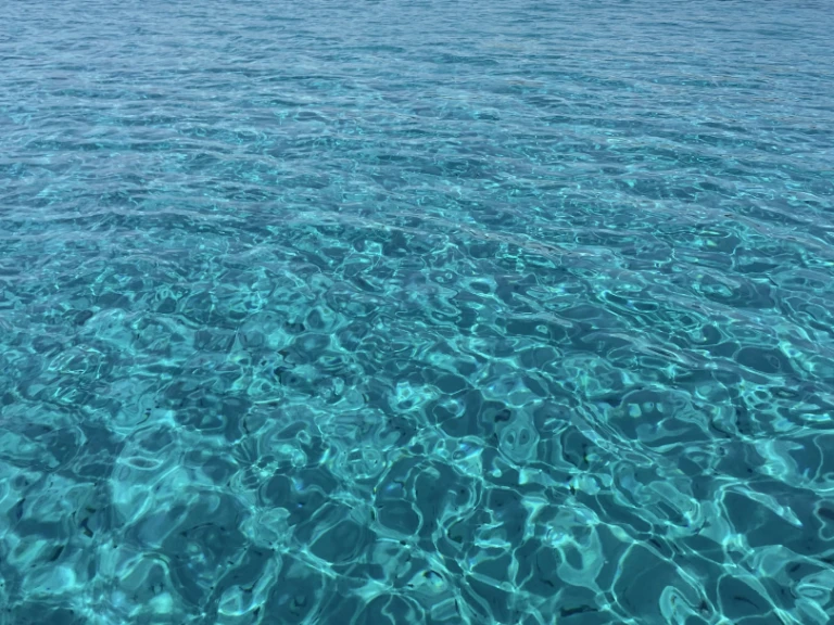 Noleggio Barca a vela Grand Soleil con patente nautica