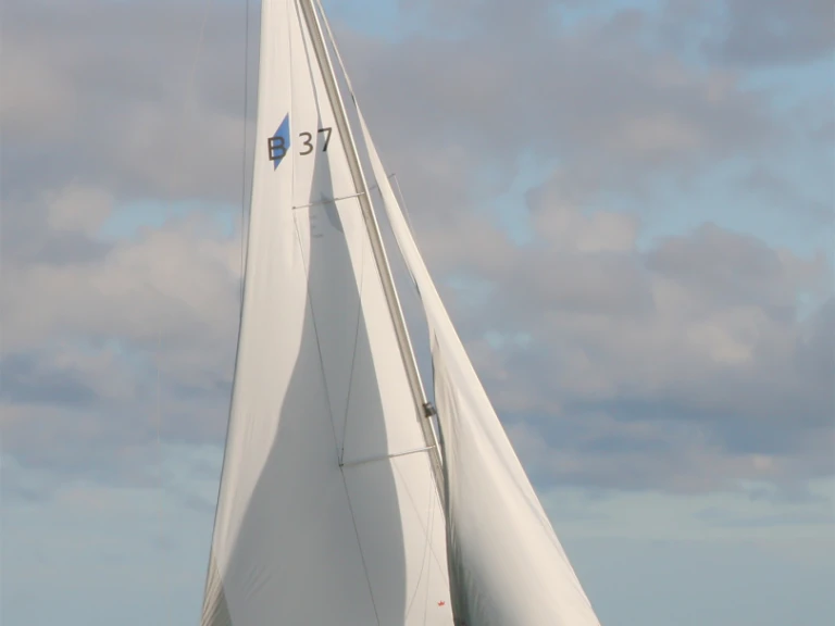 Noleggio barche Heiligenhafen economico Cruiser 37