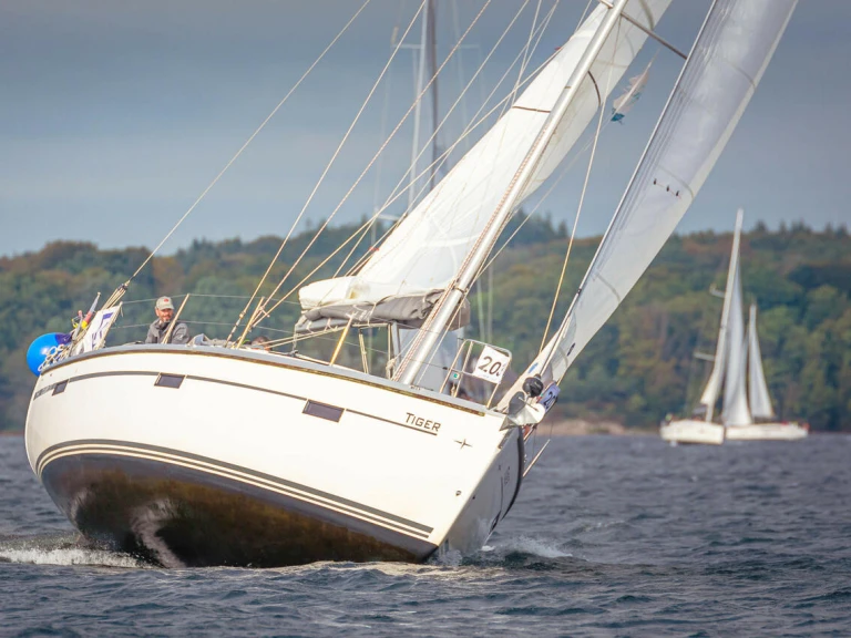 Noleggio barche Bavaria Cruiser 37 a Flensburg su Samboat